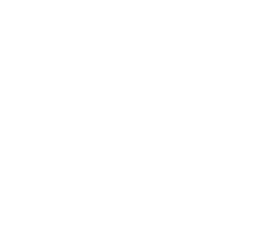 Boston Interiors logo