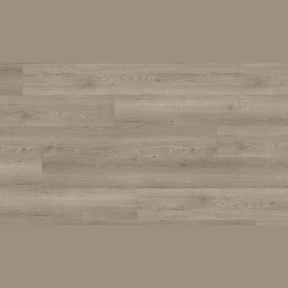 Ламинат HARO TRITTY 200 Aqua Gran Via Дуб Флавия Серый 544790 (2200х243х8мм)