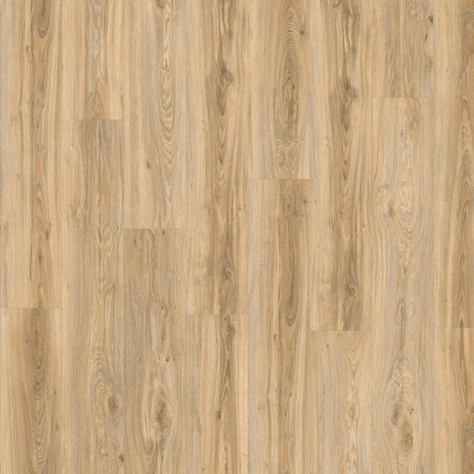 Кварцвиниловая плитка клеевая MODULEO Roots 22220 Blackjack Oak