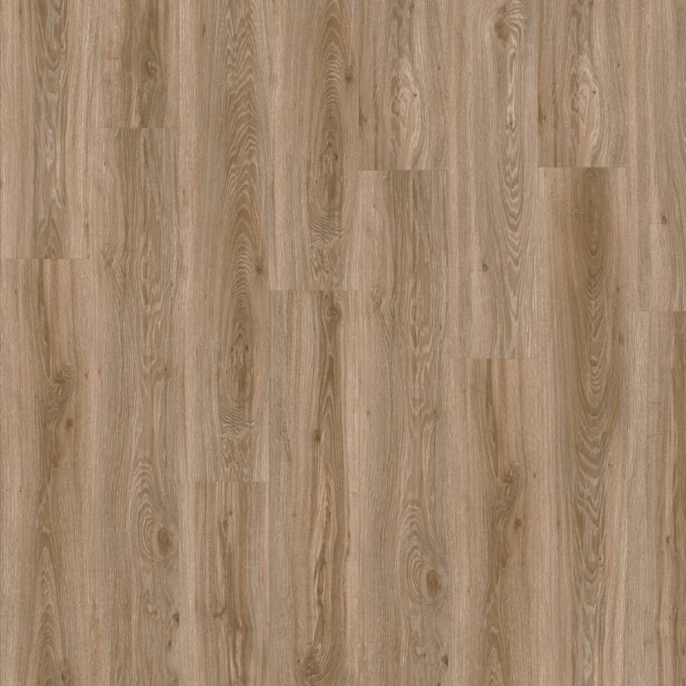 Кварцвиниловая плитка клеевая MODULEO Roots 22229 Blackjack Oak