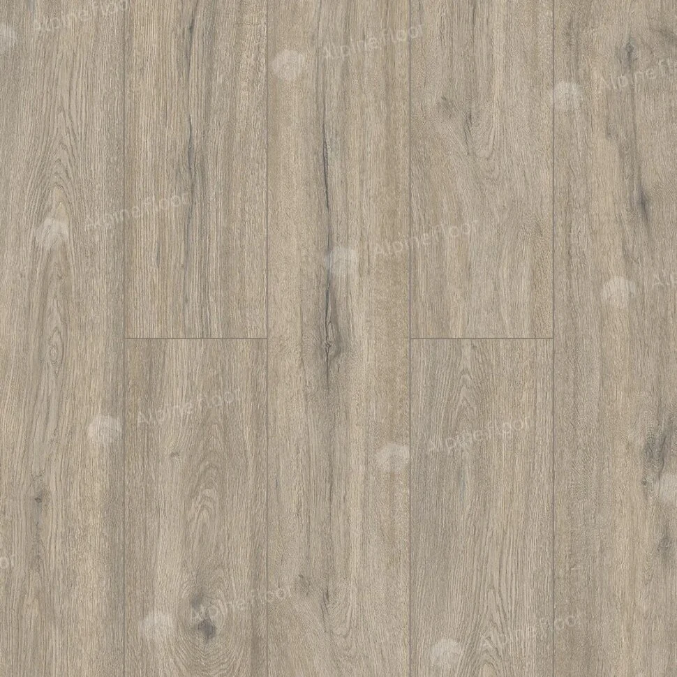 Каменный ламинат SPC Alpine Floor Solo Plus Анданте ЕСО 14-1001