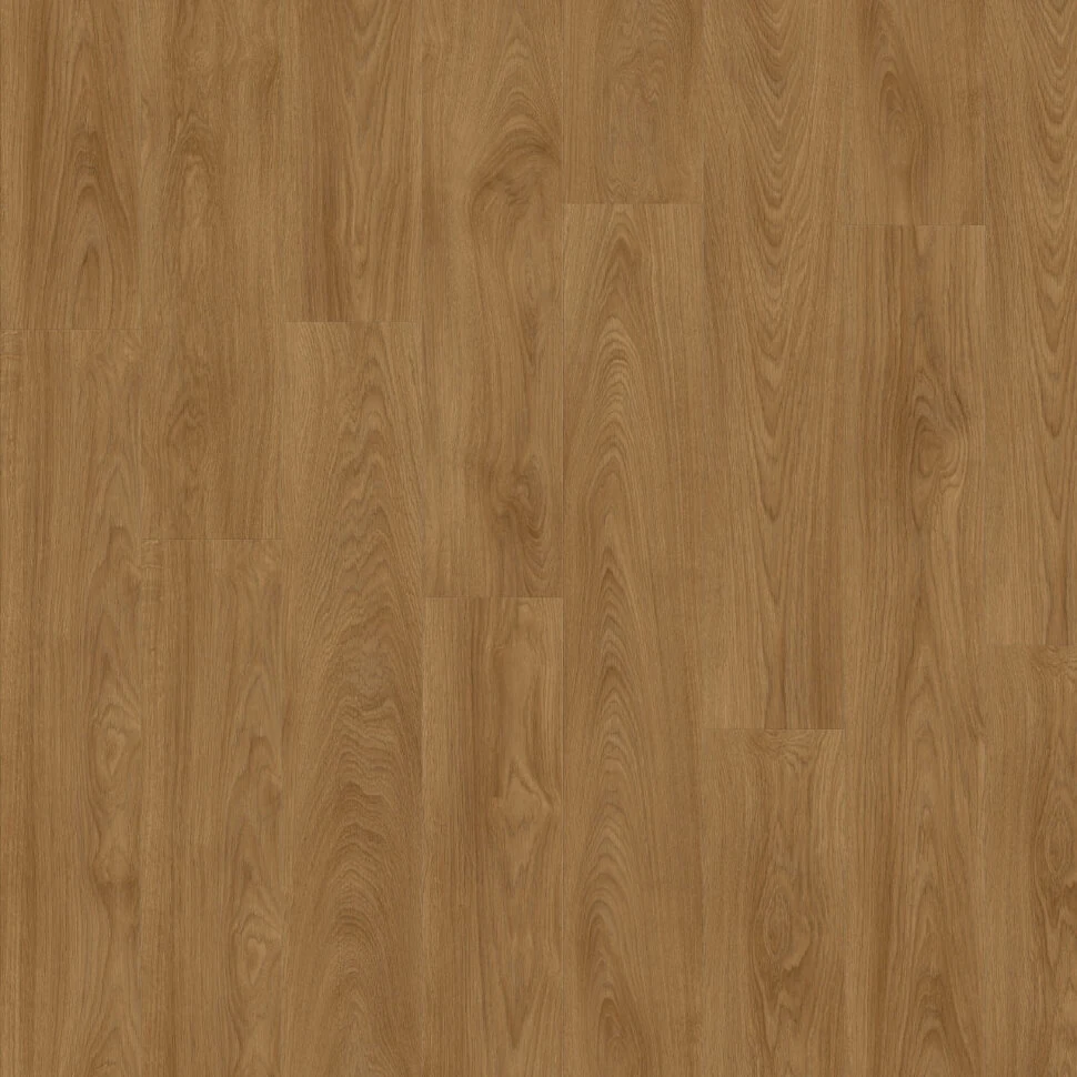 Кварцвиниловая плитка клеевая MODULEO Roots EIR 51822 Laurel Oak
