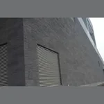 Гибкая керамика Phomi Infiniti, H05 (031), 1200х600