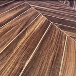Ламинат Boho Design Collection Американский Орех DC 1205 (560x104x12 мм)