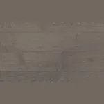 Паркетная доска ESTA Дуб Village Grey