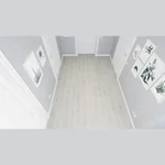 Каменный ламинат SPC Alpine Floor Solo Plus Ададжио ЕСО 14-401