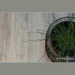 Каменный SPC ламинат VinilPol GLUE LVT 7897 EIR Дуб Неаполь Glue (1219,6х228,6х2)