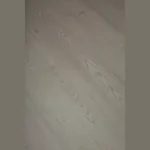 Каменный SPC ламинат RESPECT FLOOR 4218 Дуб Морозный 1220х184х5 мм (с подложкой)