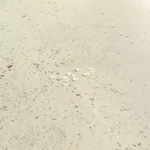 Жесткая ПВХ плитка QUICK-STEP ALPHA VINYL ILLUME AVMTU40276 Бетон галечный (856х428х5+1мм)