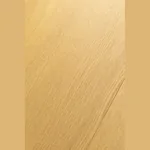Ламинат FirstFloor NOBLESS MATT 3D Дуб Элкат 1F322 (1515х195х8мм)
