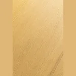 Ламинат FirstFloor NOBLESS MATT 3D Дуб Элкат 1F322 (1515х195х8мм)