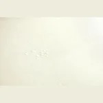 Ламинат Quick Step Muse Ultra Известняк MUU5487