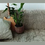 Стеновая панель HIWOOD LV124 NP
