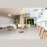 Каменный SPC ламинат Falquon The Floor STONE Carrara Marble D2921