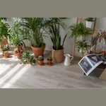 Виниловый ламинат VINILAM GLUE Дуб Ален (Rich) 20468 EIR