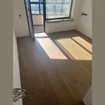 Инженерная Доска Living Tree Дуб НАТУР ПУСТЫННЫЙ от 500 до 2310х140х13,5 (шпон 4мм) (1,94 м2)