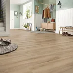 Ламинат Kronotex Exquisit Plus D 80912 Бук Натуральный