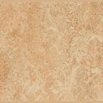 Линолеум Forbo Marmoleum Marbled Real 3075 shell
