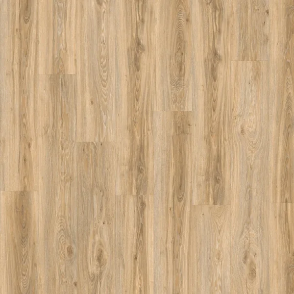 Кварцвиниловая плитка клеевая MODULEO Roots 22220 Blackjack Oak