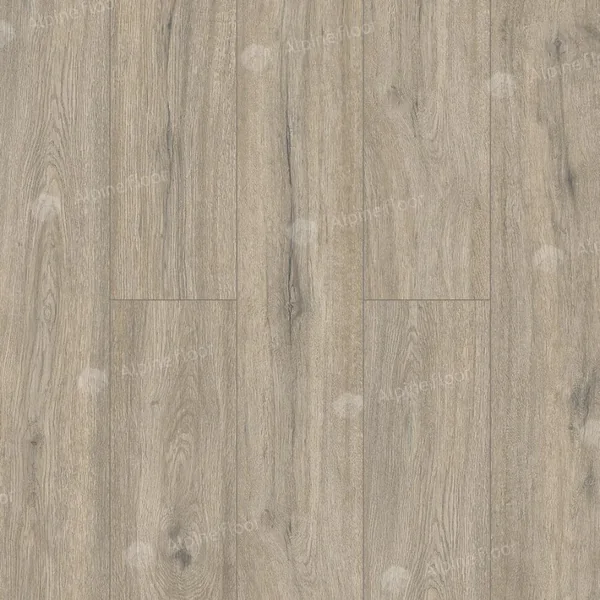 Каменный ламинат SPC Alpine Floor Solo Plus Анданте ЕСО 14-1001