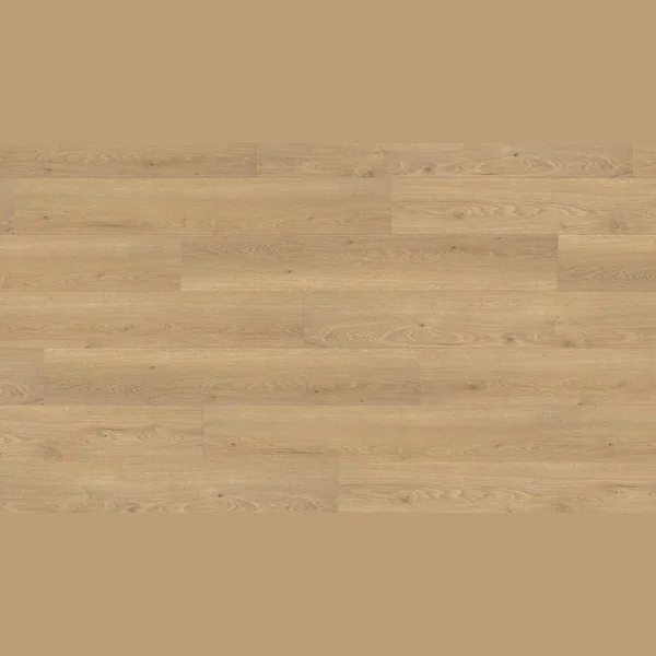 Ламинат HARO TRITTY 100 Дуб Флавия Пуро 544711 (1282х193х8мм)